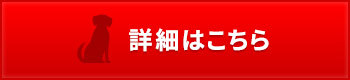 「 夢と希望を 2020年 」_c0328479_19363229.jpg