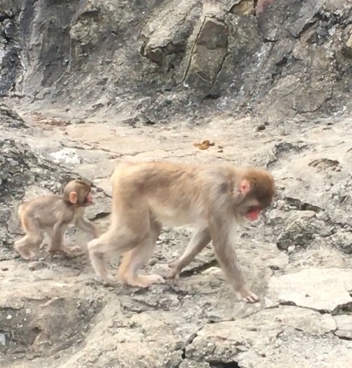 みさき公園_f0202682_11150458.jpg