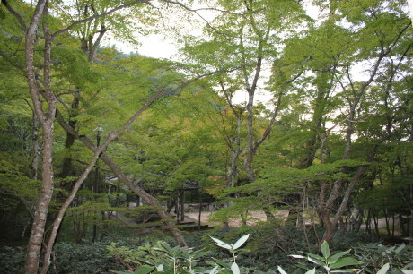 d0212993_13192893.jpg