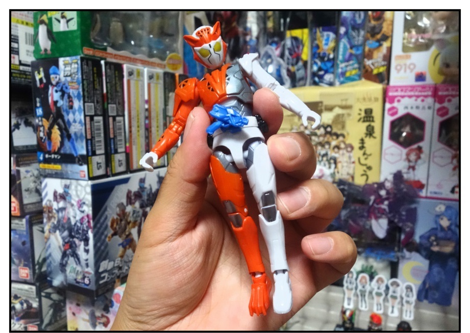RKF仮面ライダーバルキリー/DXライトニングホーネット/DXフリージングベアーで徹底的に遊ぶ!!_f0205396_21143135.jpg