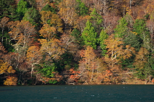 a0263109_20072235.jpg