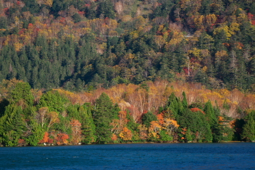 a0263109_20072257.jpg