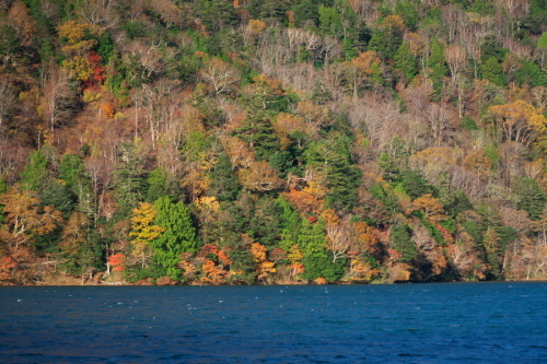 a0263109_20072490.jpg