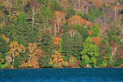 a0263109_20075333.jpg