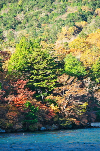 a0263109_20075353.jpg