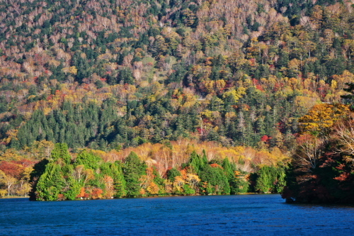a0263109_20075365.jpg