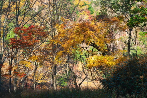 a0263109_20082115.jpg