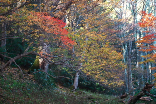 a0263109_20101440.jpg
