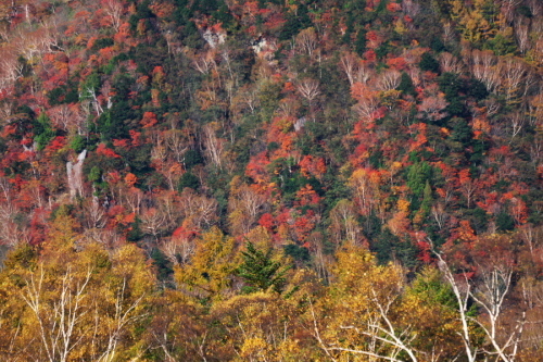 a0263109_20232583.jpg