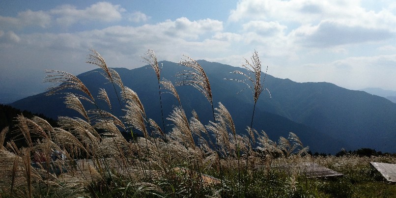 金剛山 大和葛城山 青崩 太尾 金剛山 ﾀﾞｲﾄﾚ 水越峠 大和葛城山 天狗道 青崩 山へ行こう