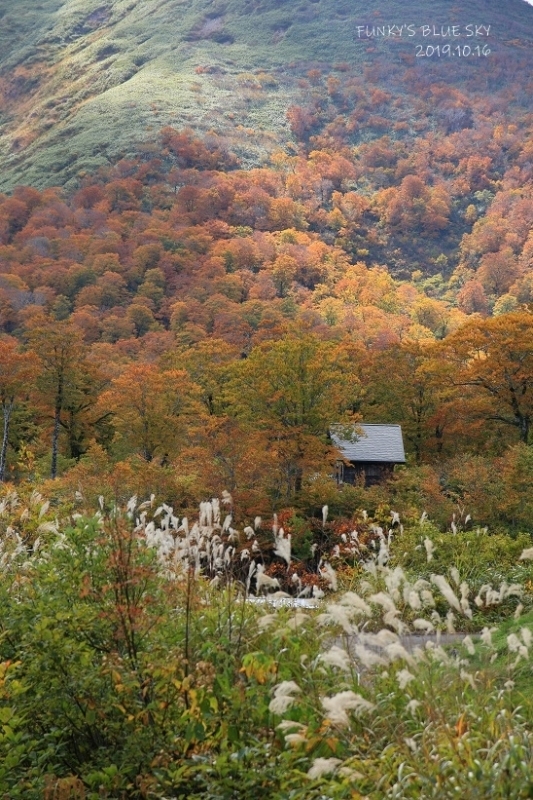 山道を♪（秋の栗駒2019・Ⅳ）_c0145250_10444164.jpg