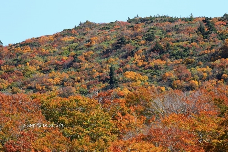 山道を♪（秋の栗駒2019・Ⅳ）_c0145250_10445441.jpg