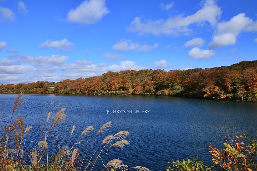 山道を♪（秋の栗駒2019・Ⅳ）_c0145250_10445981.jpg