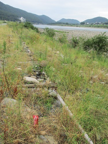 長良川の河川工事-なんだかヘンだよ_f0197754_00054980.jpg