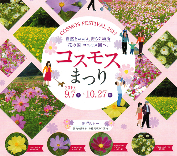 今日は花摘み くりはま花の国19 写愛館