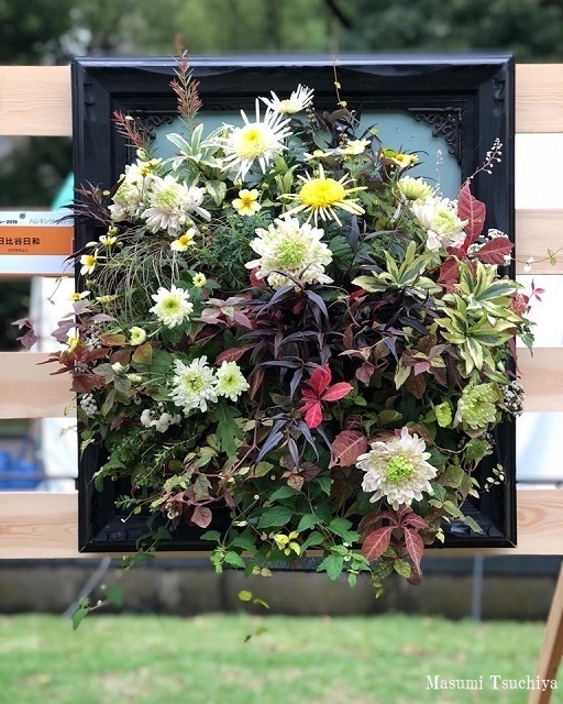ハンギングバスケットコンテスト 日比谷公園ガーデニングショー19 この植物をお買い2 ハンギングバスケットコンテスト 日比谷公園ガーデニングショー19 この植物をお買い2