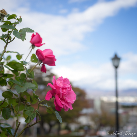 I am beside you_e0338273_20142619.jpg
