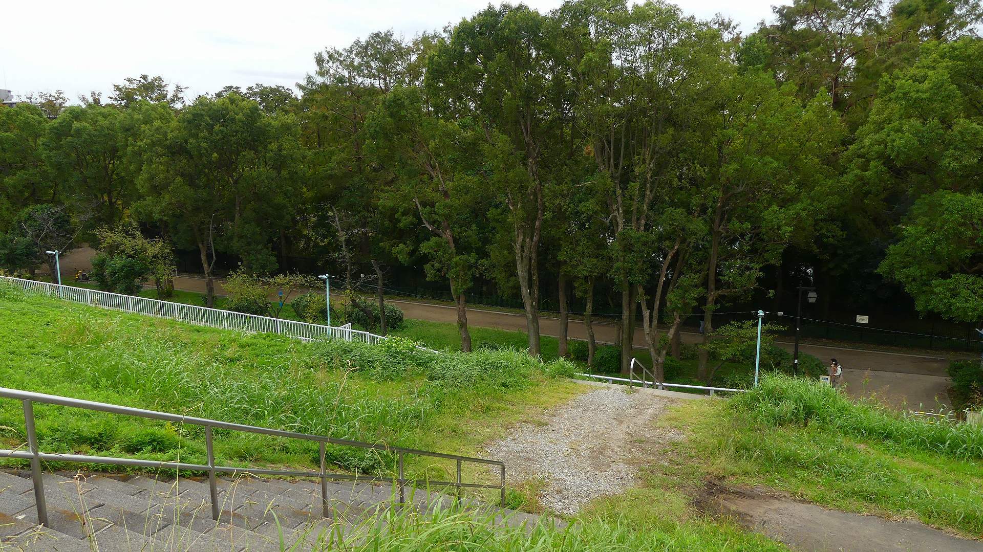 土手の生き物たち_a0185081_13314795.jpg