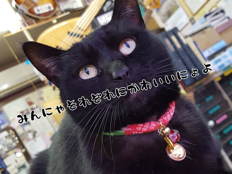それぞれに可愛いのです★_d0156981_13062905.jpg