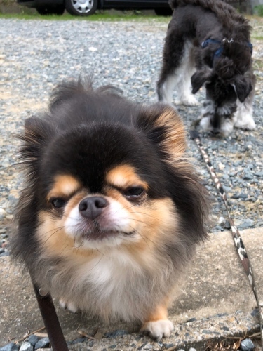 トレーニングブログ_f0357682_14262183.jpeg