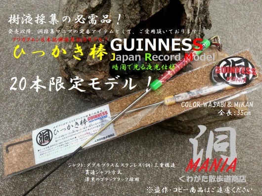 カブトムシ・クワガタムシが採れるとこはどこ？まさか冬にクワガタ採集に成功！？Japan\'s Record Stag beetle Hunter_f0183484_00302232.jpg