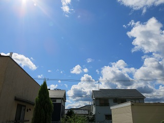 e0130185_23193635.jpg