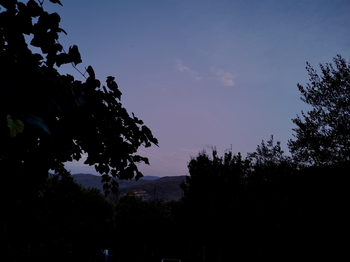 f0106597_19124026.jpg