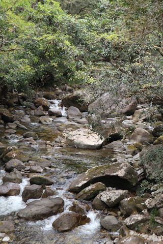 c0090198_11135441.jpg