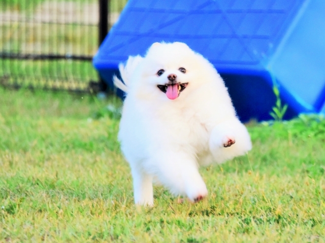 秋深し_d0360206_00393156.jpg