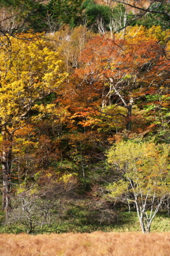 奥日光 光徳沼の紅葉_a0263109_20145266.jpg