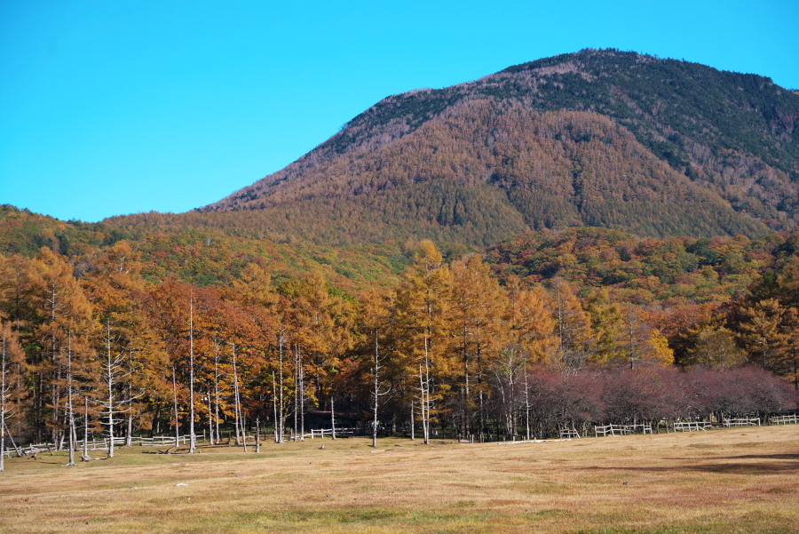 奥日光 光徳沼の紅葉_a0263109_20181937.jpg