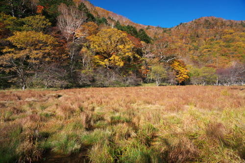 奥日光 光徳沼の紅葉_a0263109_20182004.jpg