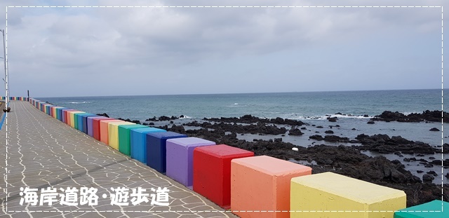 🎵 松茸 🎵_a0115924_23512570.jpg