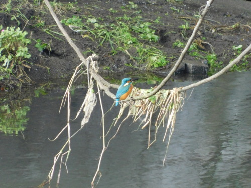 c0338136_20510730.jpg