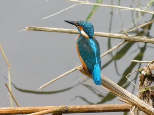 c0338136_20534903.jpg