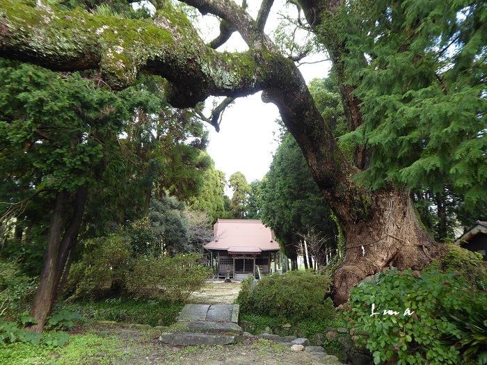 c0222861_2035543.jpg