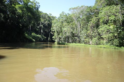 c0090198_17385608.jpg