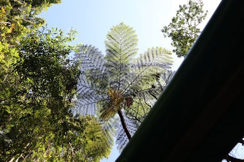 c0090198_17392026.jpg