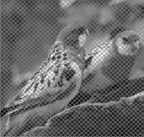 我々の脳は色と形を別々に扱っているらしいことを示す「幻覚」_c0025115_22050404.jpg