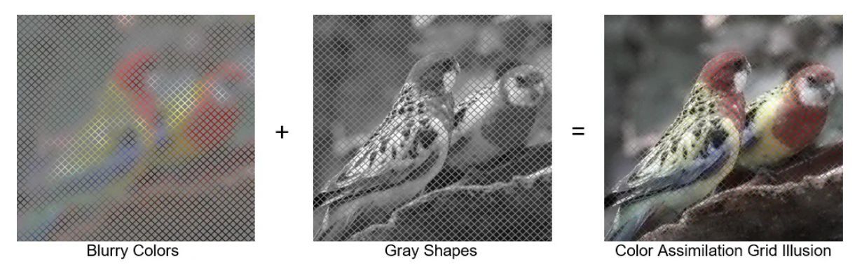 我々の脳は色と形を別々に扱っているらしいことを示す「幻覚」_c0025115_22075740.jpg