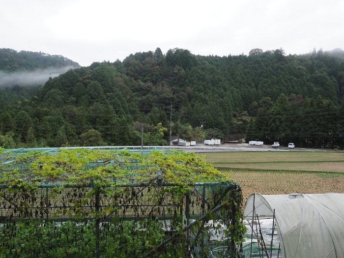 曇りのち晴れ時に小雨_c0116915_00032531.jpg