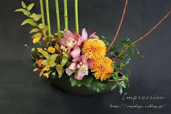定期装花から サンゴミズキ 押水イエロー Impression Days