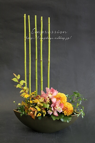 定期装花から サンゴミズキ 押水イエロー Impression Days