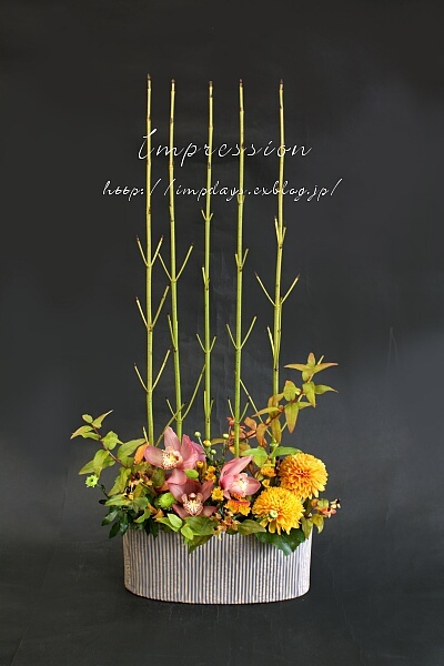 定期装花から サンゴミズキ 押水イエロー Impression Days
