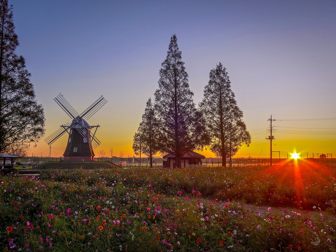 2019.10.23風車のある風景(あけぼの山農業公園) : ダイヤモンド