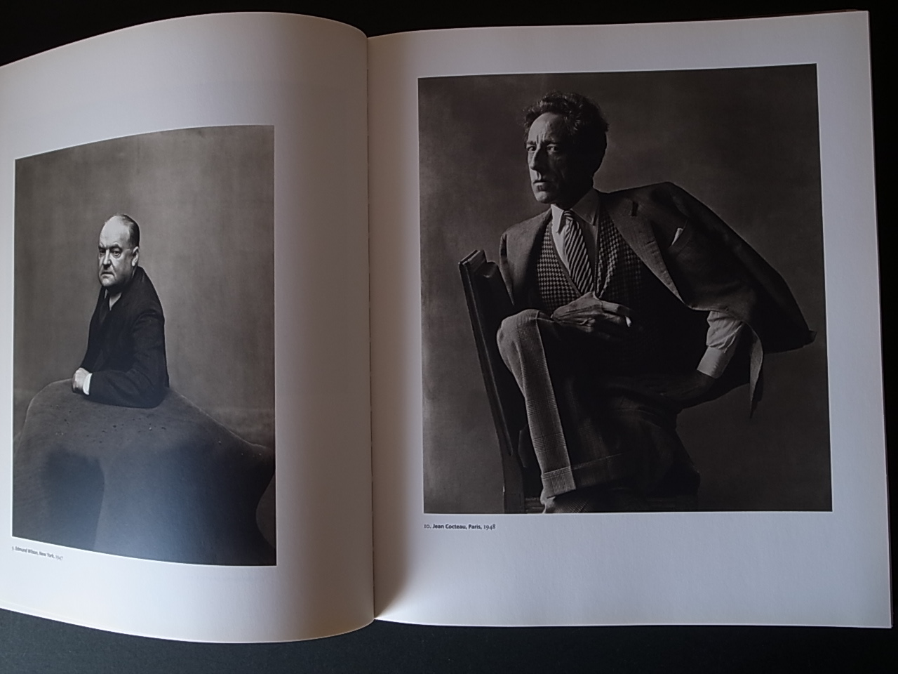 IRVING PENN PLATINUM PRINTS / Sarah Greenough : Books & Things