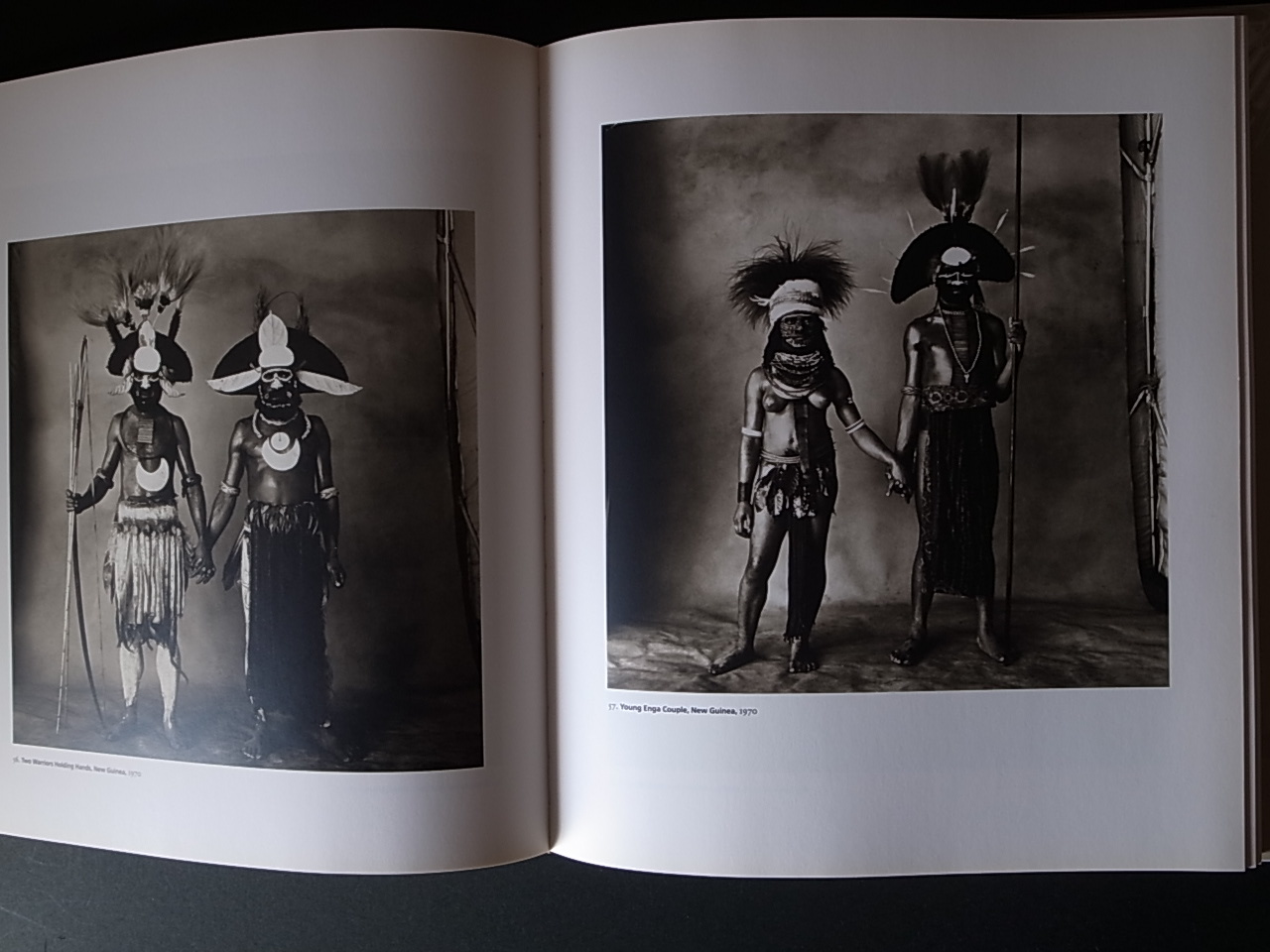 IRVING PENN PLATINUM PRINTS / Sarah Greenough : Books & Things
