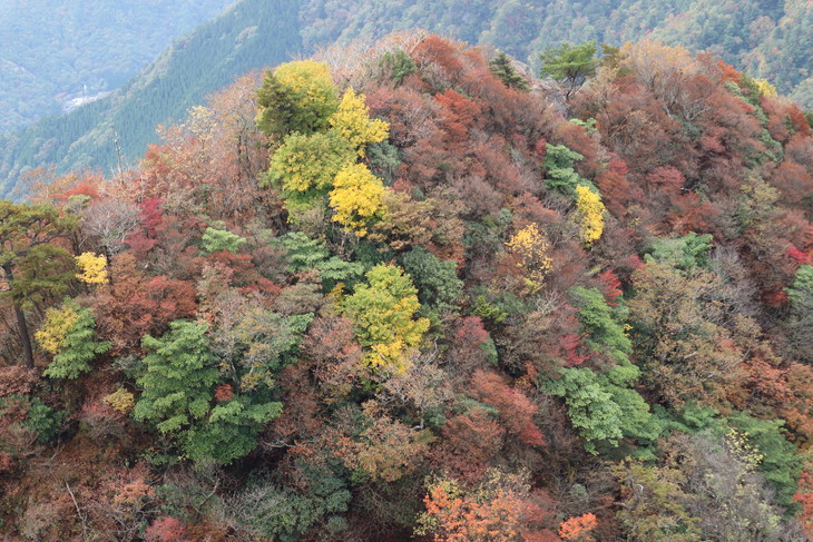 静かな山歩き（大障子岩＆池の原展望所）_e0272335_57682.jpg