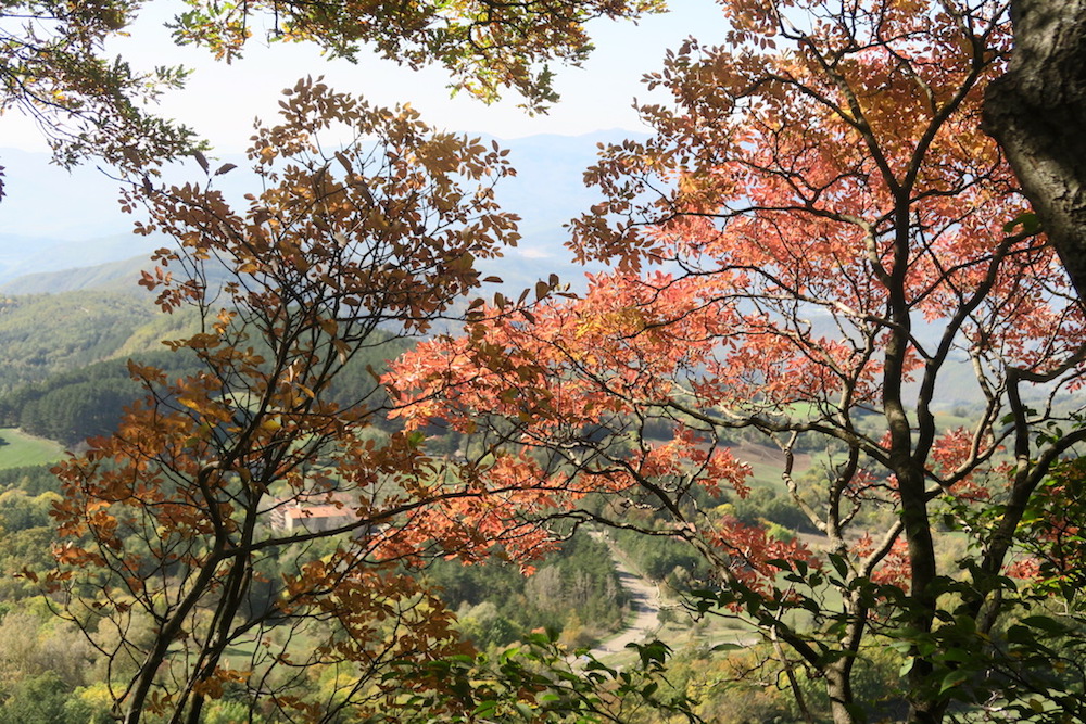 秋色の光注ぐ山を頂へ、ラヴェルナ ペンナ山_f0234936_8143395.jpg