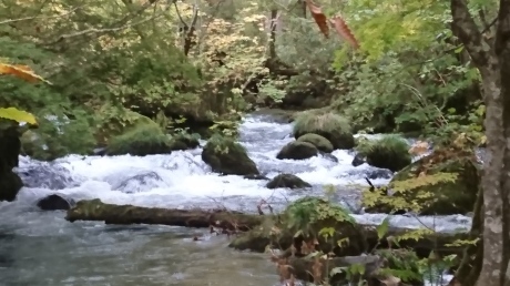 東北の山旅 秋田~岩手~青森_c0218841_20201791.jpg
